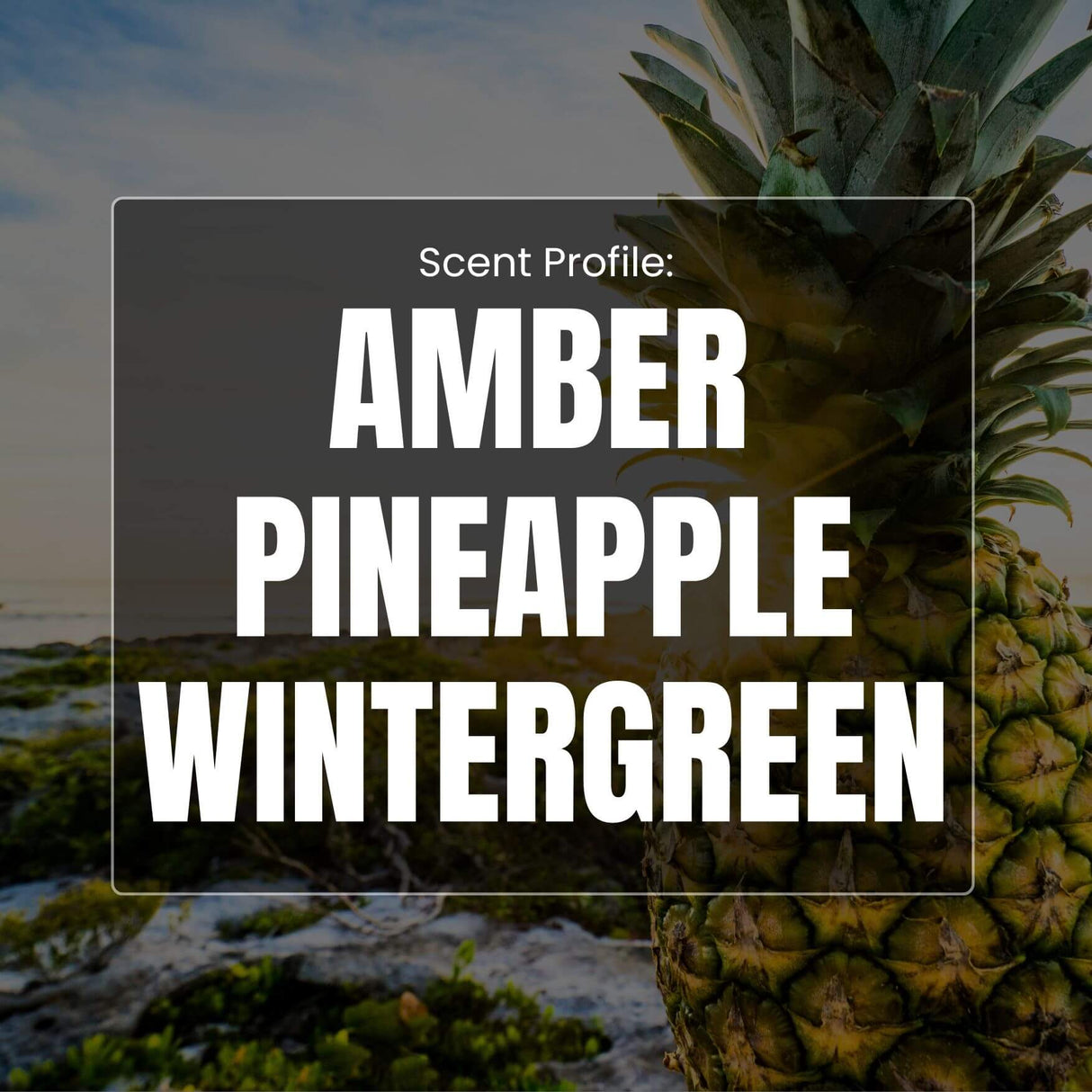 Coastal Cliff Beard Oil - Amber, Pineapple, Wintergreen