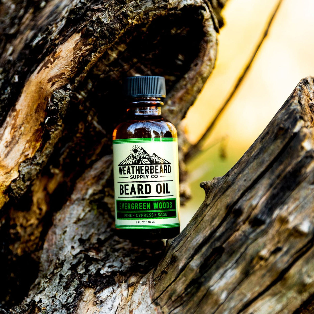 Evergreen Woods Beard Oil sitting in a tree