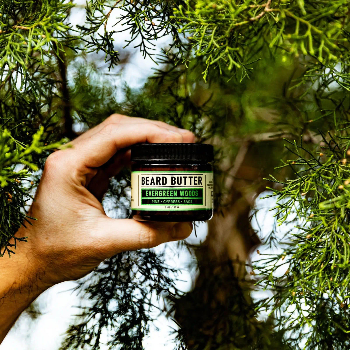 Hand holding a jar of 'Evergreen Woods' beard butter against a natural background with greenery.