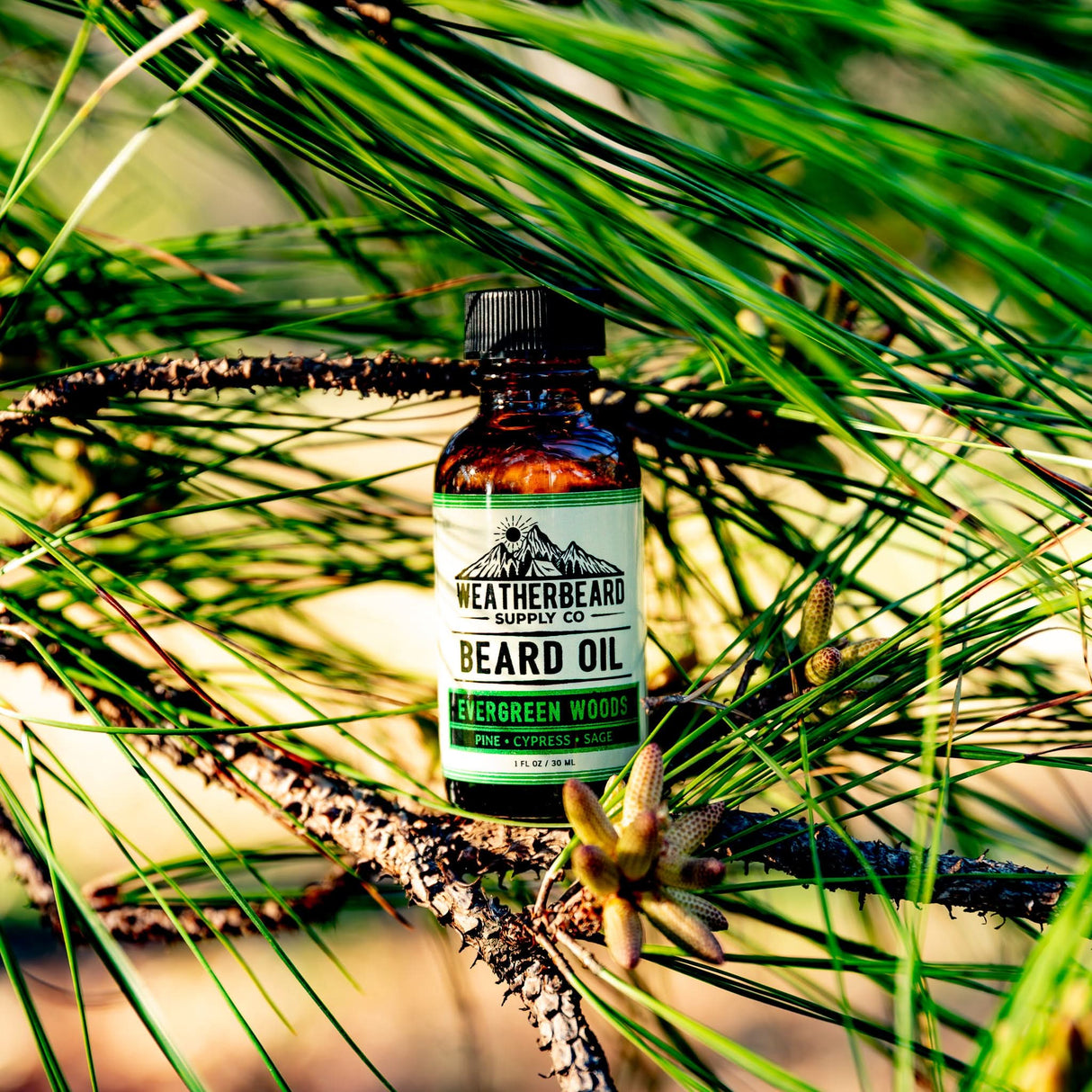 Evergreen Woods Beard Oil by Weatherbeard Supply Co sitting in a pine tree