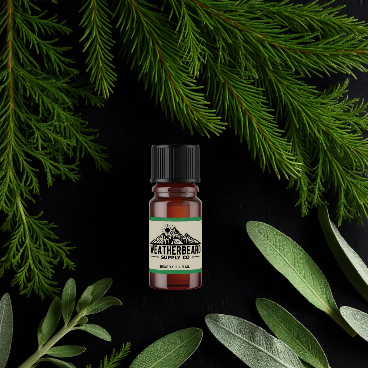 Sample bottle of Weatherbeard Supply Co. Evergreen Woods beard oil surrounded by green leaves on a dark background