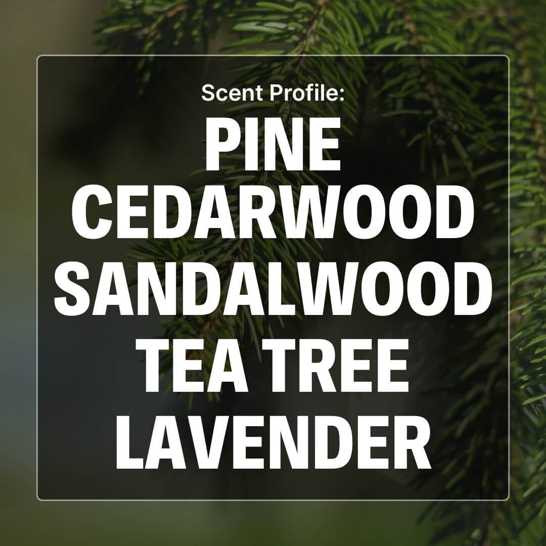 Text overlay of pine, cedarwood, sandalwood, tea tree, lavender scent profile on a blurred green background.
