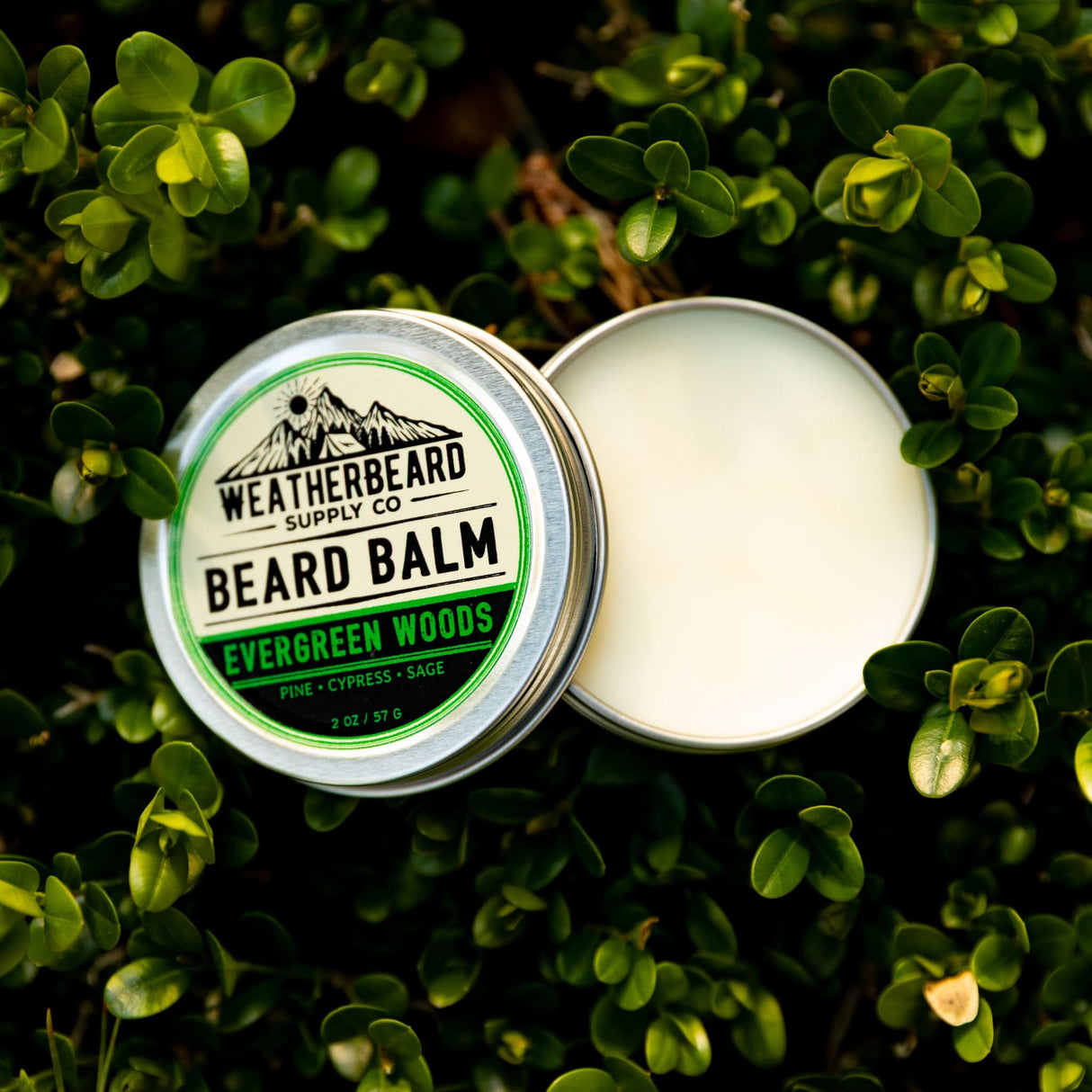 Open container of Evergreen Woods Beard Balm showcasing the texture