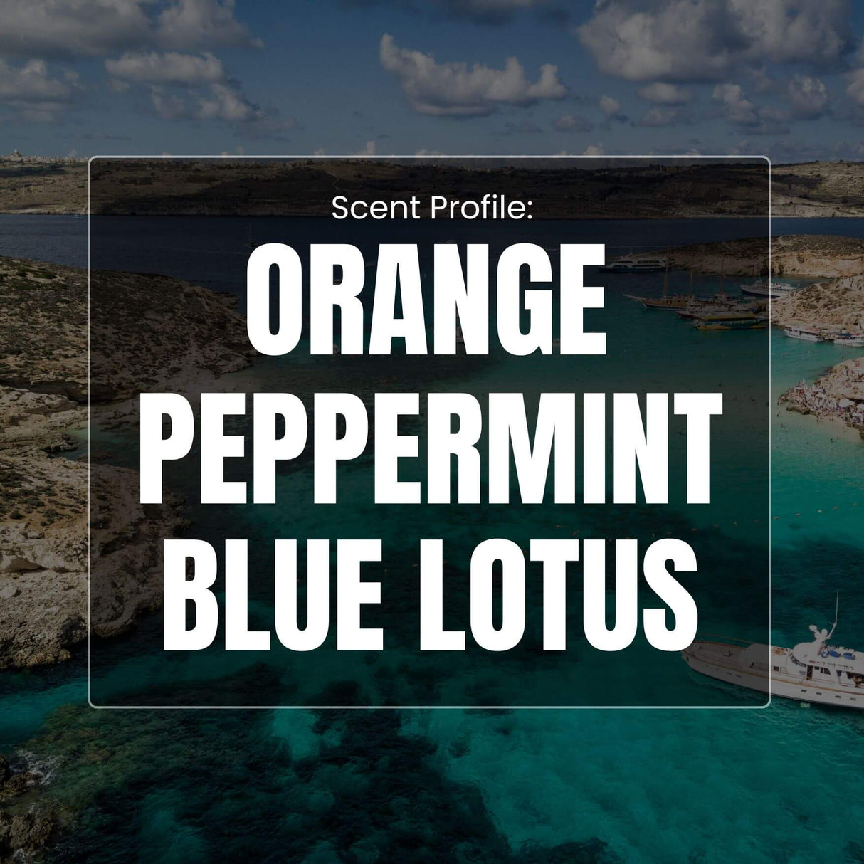 Lotus Lagoon Beard Oil - Orange, Peppermint, Blue Lotus