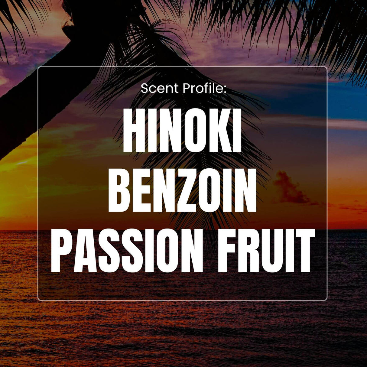 Tropical Timber Beard Oil - Hinoki, Benzoin, Passion Fruit