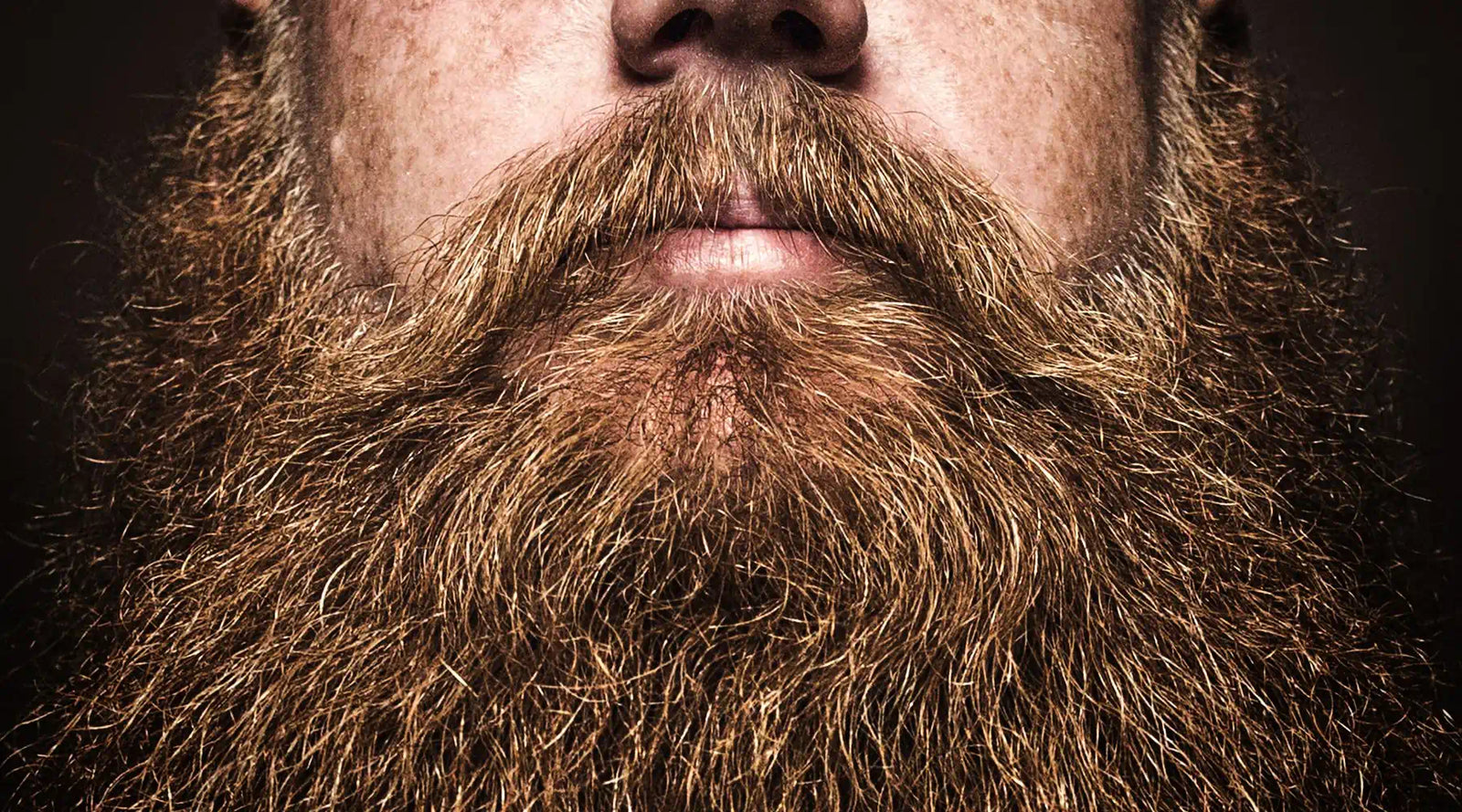 Man with well-groomed beard