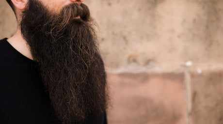 Beard Split Ends: Causes, How to Fix Them & How to Prevent Them