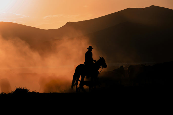 Silhouette of a person riding a horse with a sunset and mountains in the background