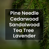 Pine needle with text overlay of essential oil names on a blurred green background