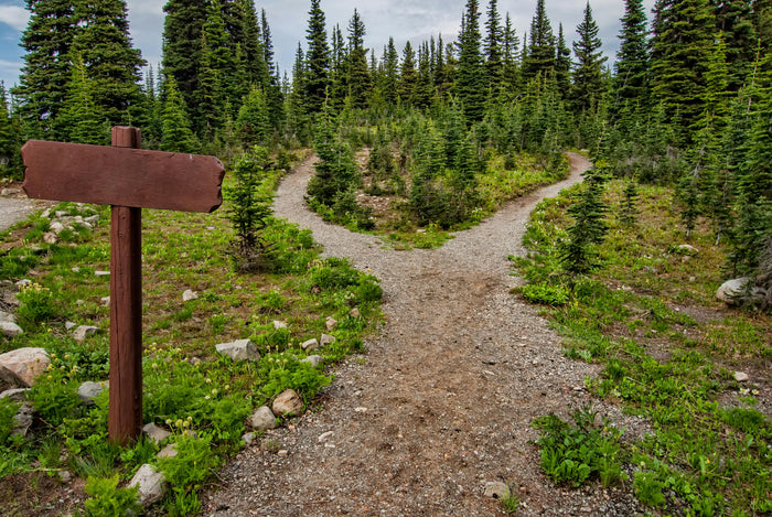 Winding dirt path through a forest with a wooden signpost.