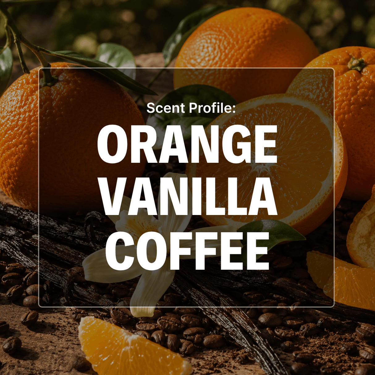 Java Junction Beard Oil - Orange, Vanilla, Coffee
