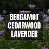 Purple flowers with text overlay 'Scent Profile: Bergamot Cedarwood Lavender' on a dark background