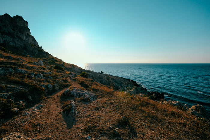 Rugged coastline with a path leading to the ocean under a clear blue sky.