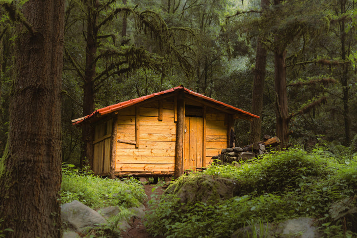 Wooden cabin with a red roof nestled in a lush green forest